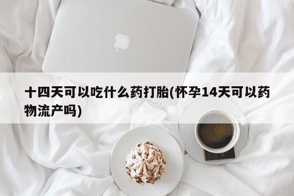 打胎药专门卖店米非司酮片哪个网站十四天可以吃什么药打胎(怀孕14天可以药物流产吗)
